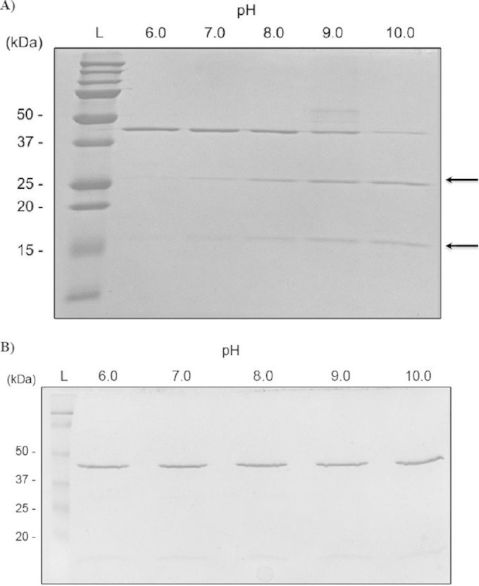 FIG 3