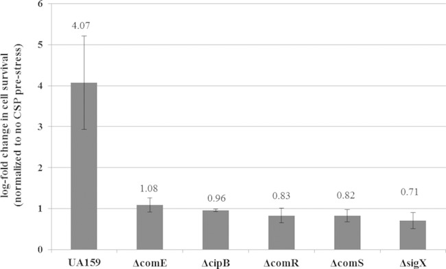 FIG 1