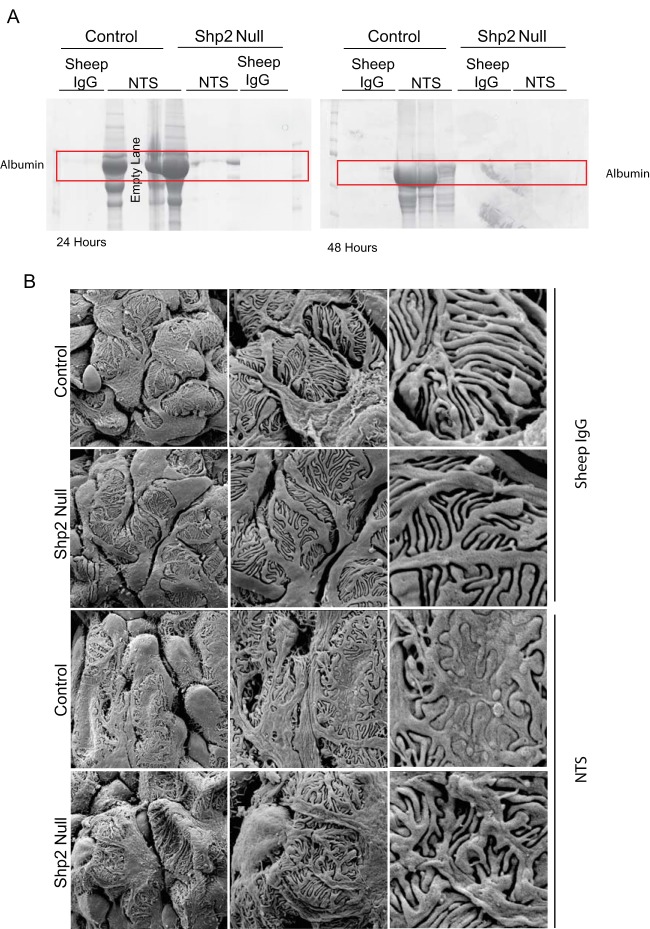 FIG 10