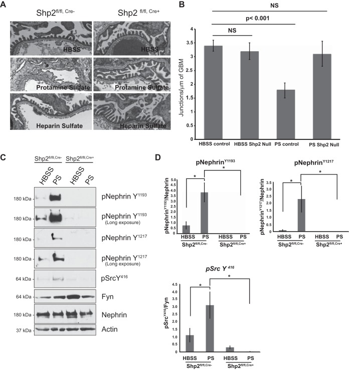 FIG 8