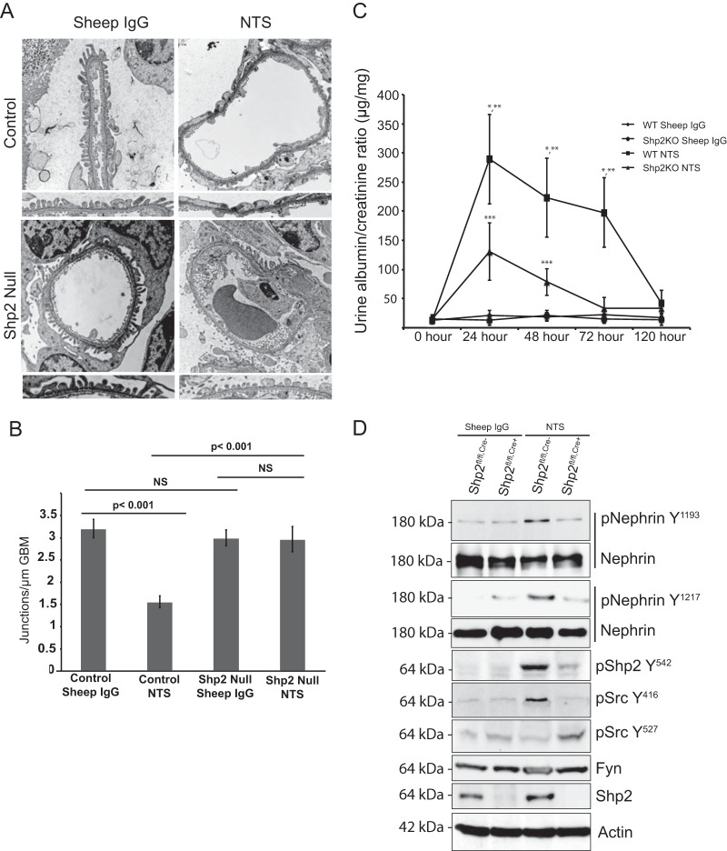 FIG 11