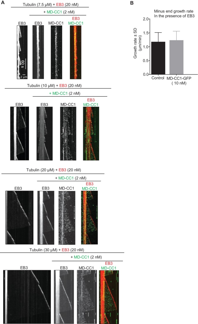 Figure 2—figure supplement 3.