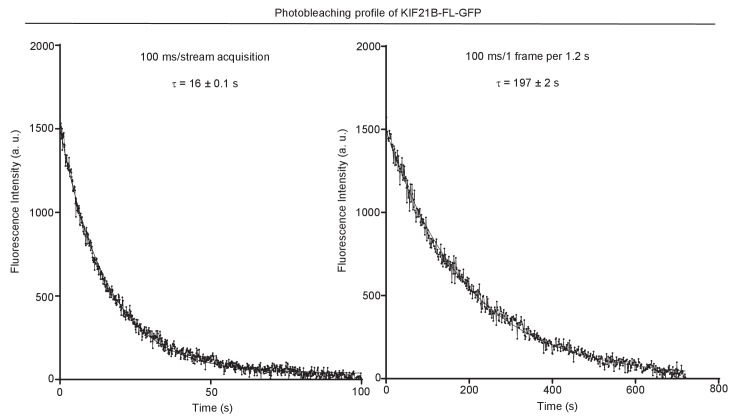 Figure 5—figure supplement 2.