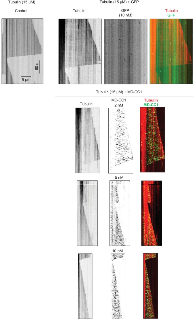 Figure 2—figure supplement 2.