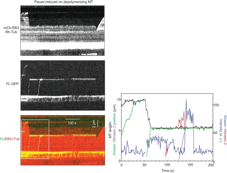 Figure 3—figure supplement 2.