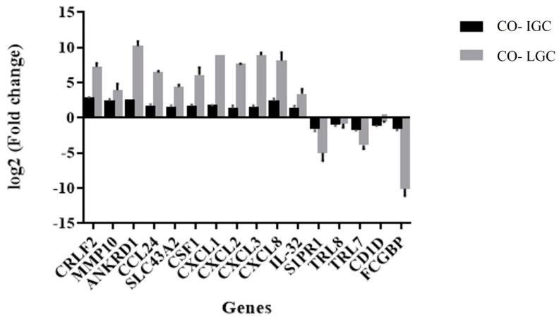 Figure 5