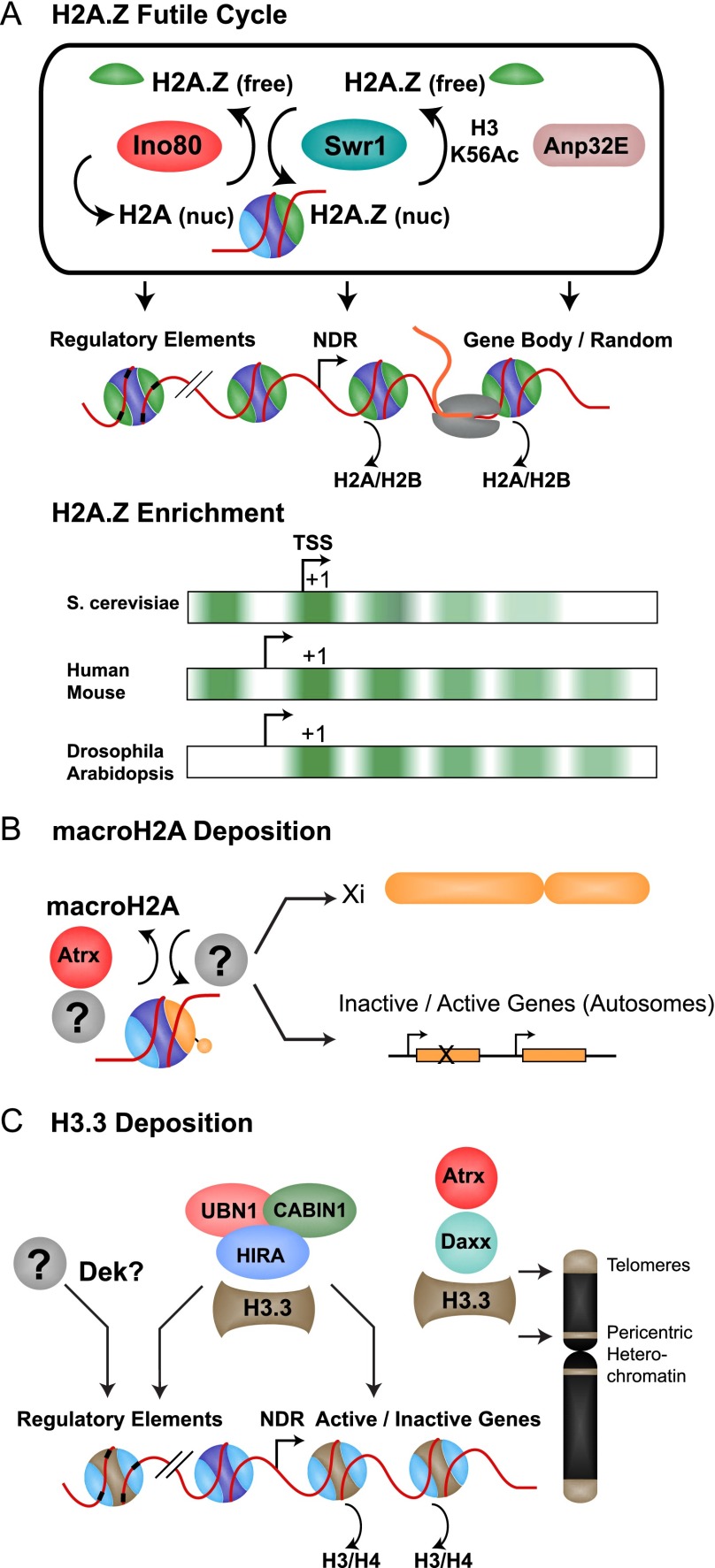 Figure 2.