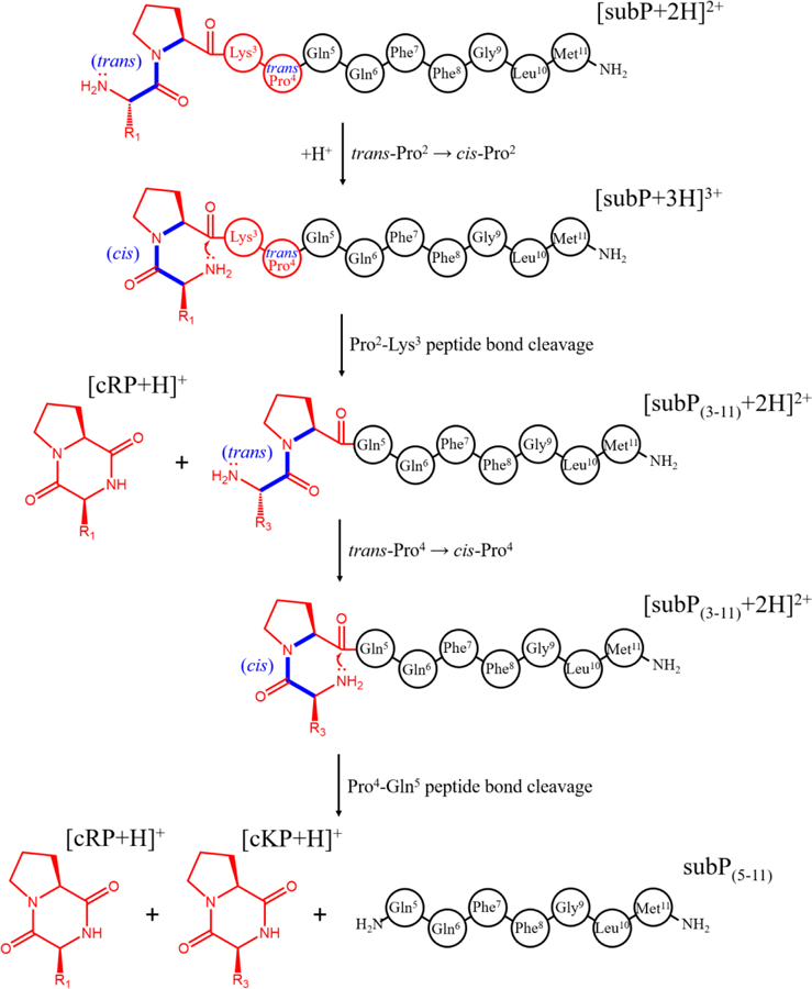 Scheme 2