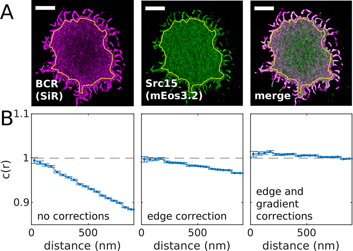 Figure 3: