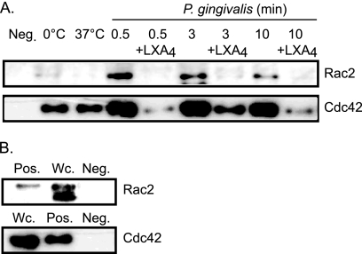 FIG. 7.