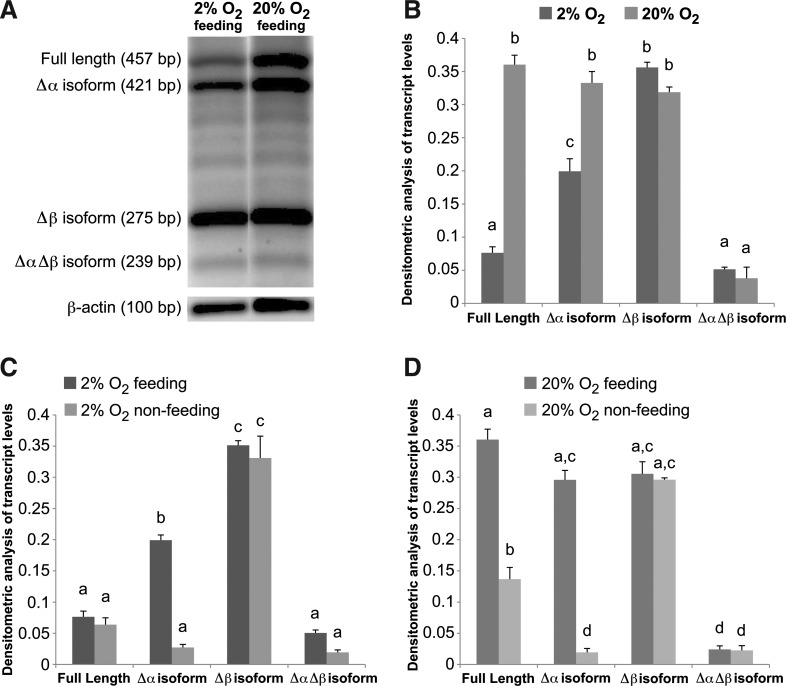 FIG. 6.