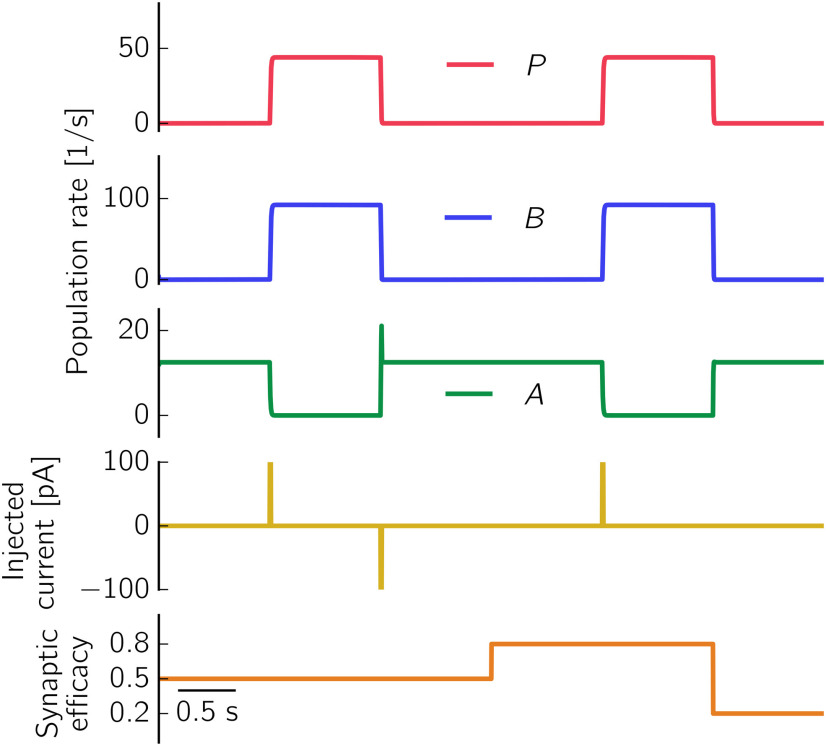 Figure 5.