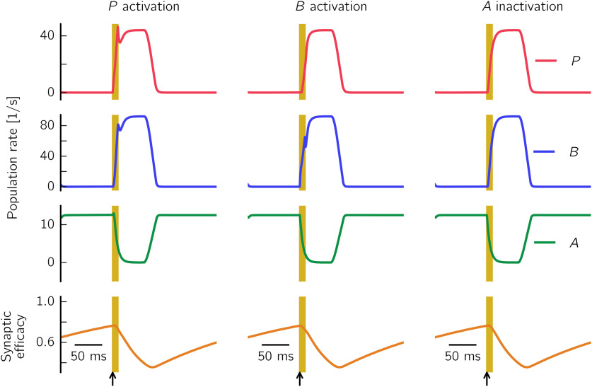 Figure 10.