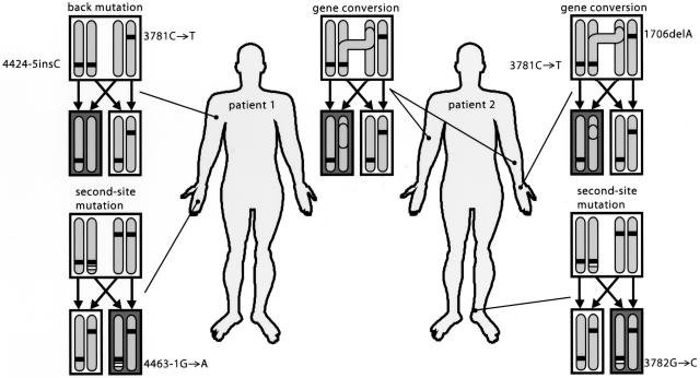 Figure  6