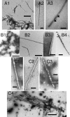 FIG. 4.