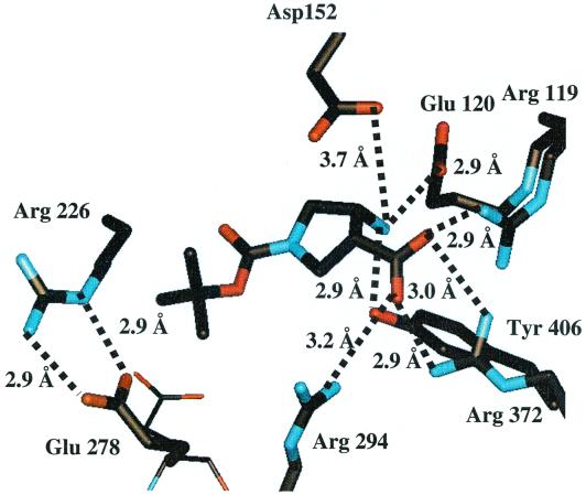 FIG. 6