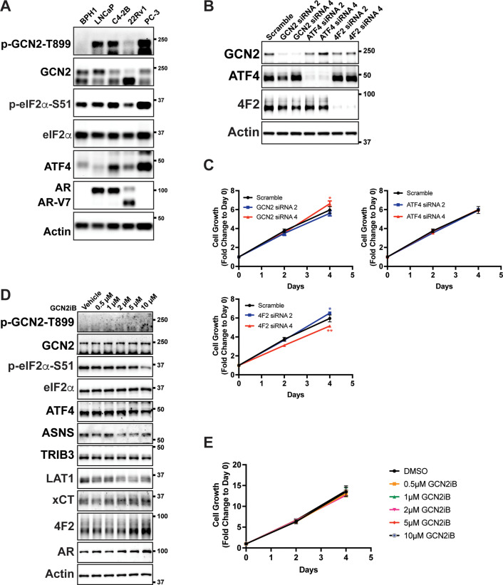 Figure 1—figure supplement 5.