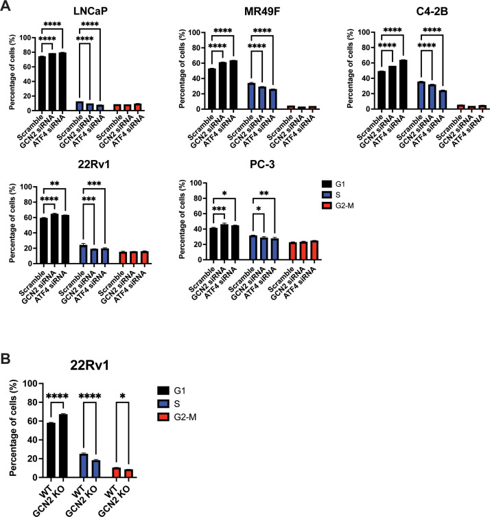 Figure 3—figure supplement 3.