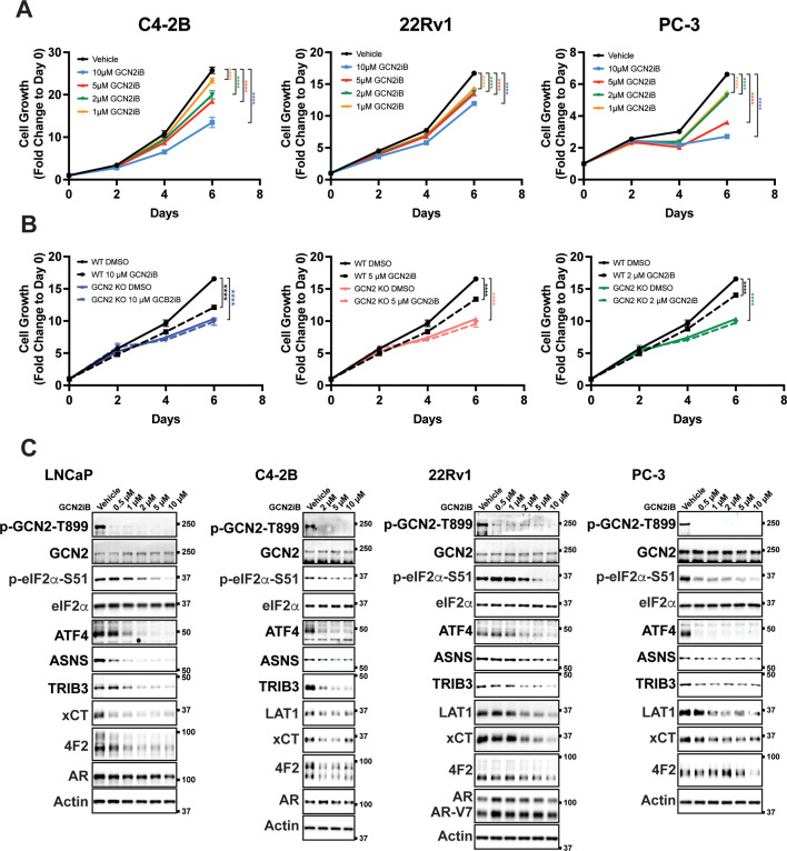 Figure 1—figure supplement 3.