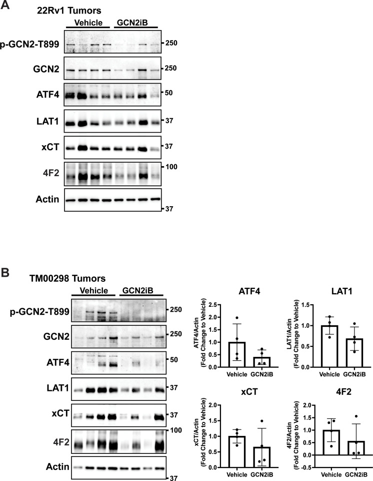 Figure 7—figure supplement 2.