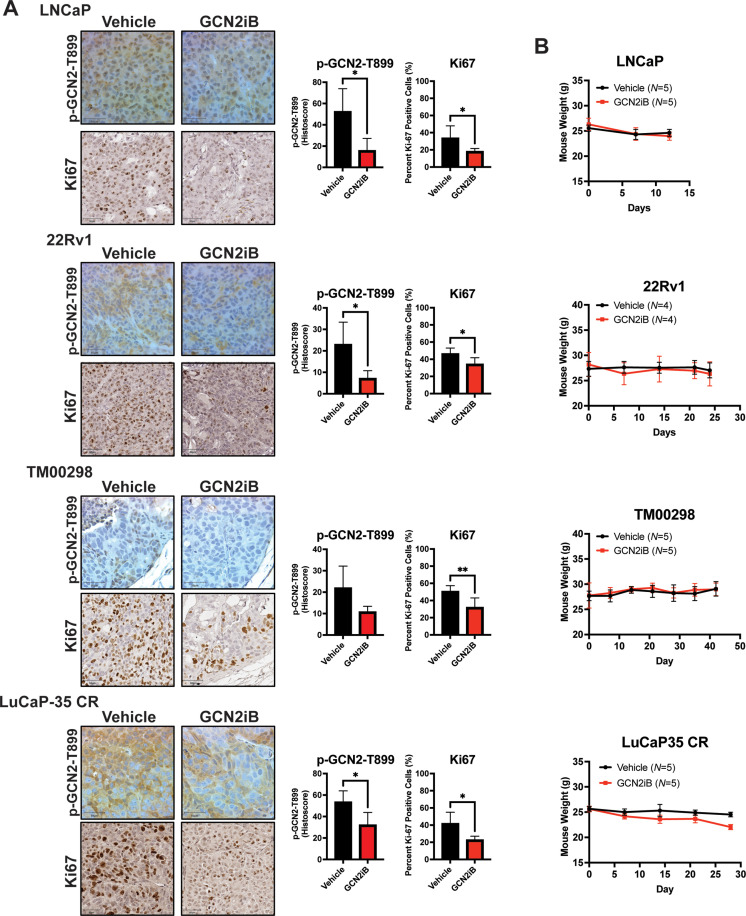 Figure 7—figure supplement 1.