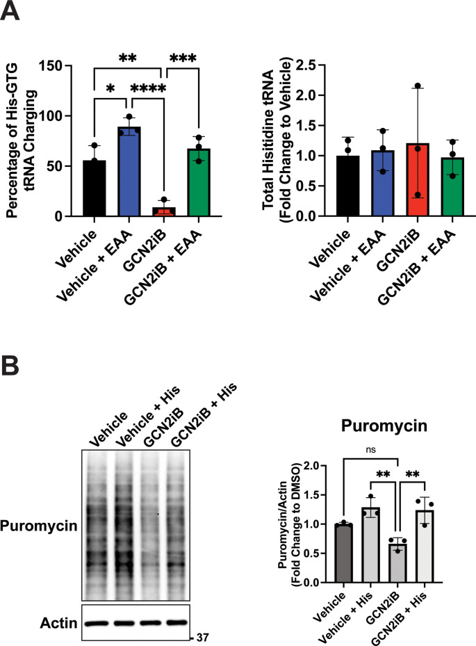 Figure 3—figure supplement 4.