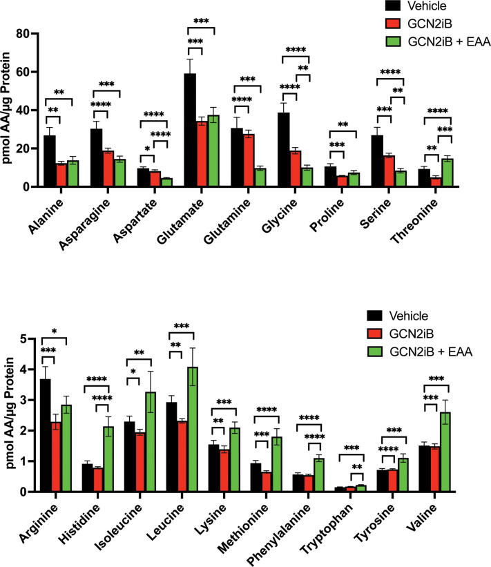 Figure 3—figure supplement 1.