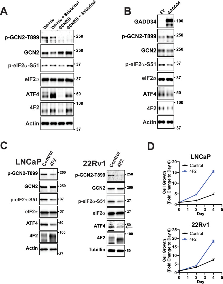 Figure 4—figure supplement 3.