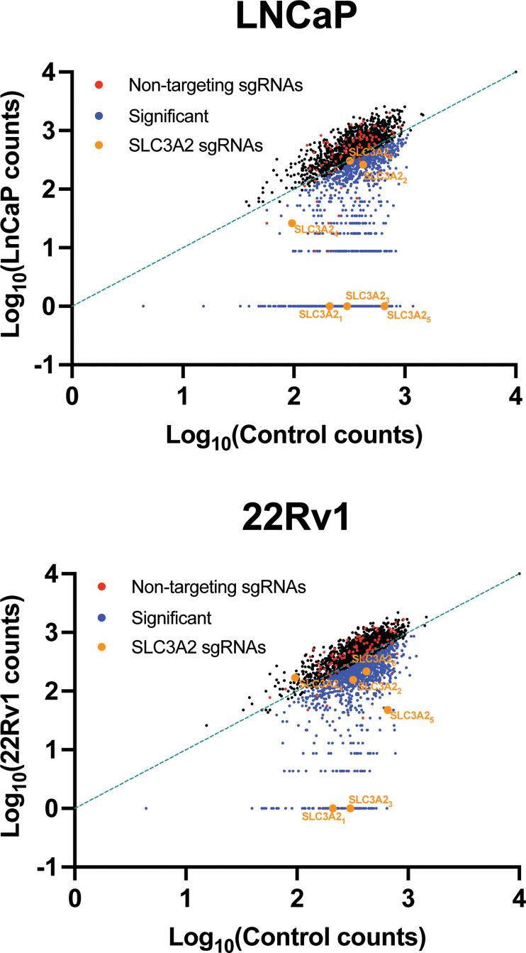 Figure 4—figure supplement 1.