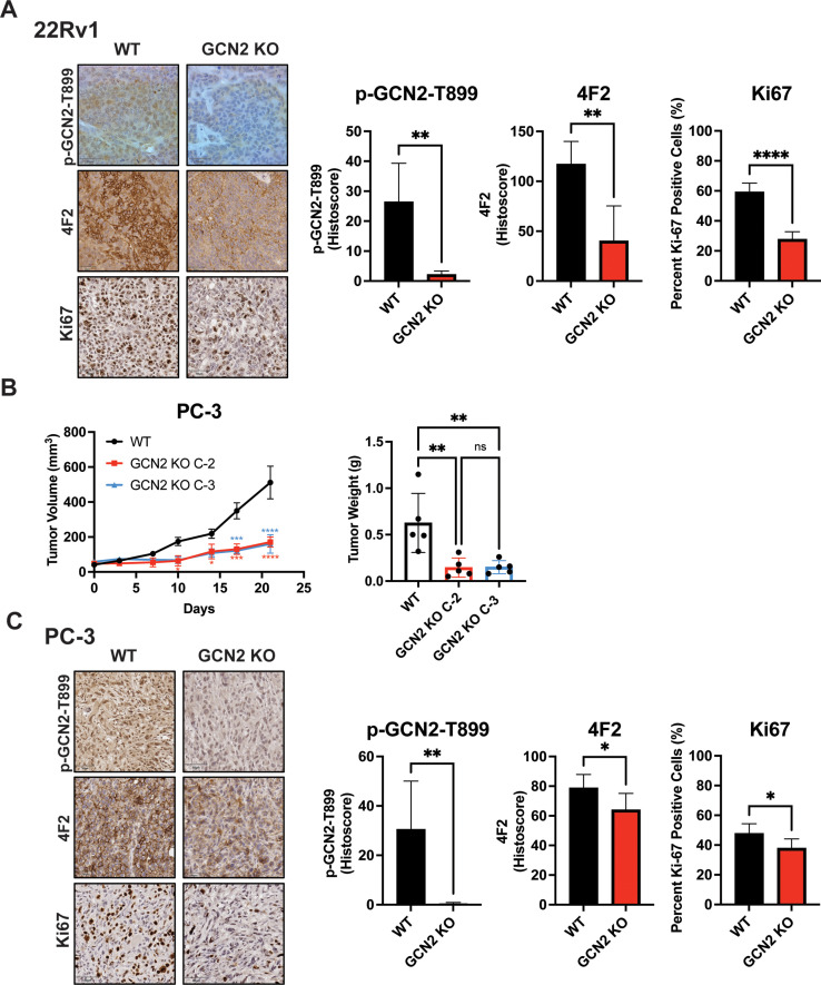 Figure 6—figure supplement 1.