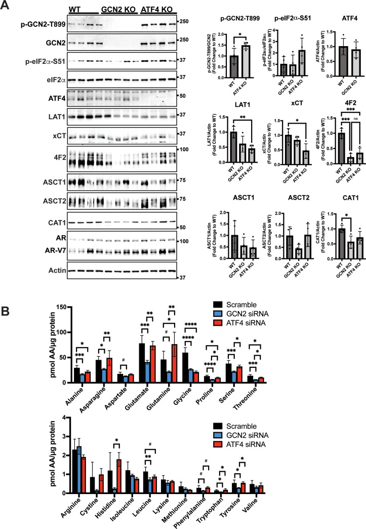 Figure 6—figure supplement 2.