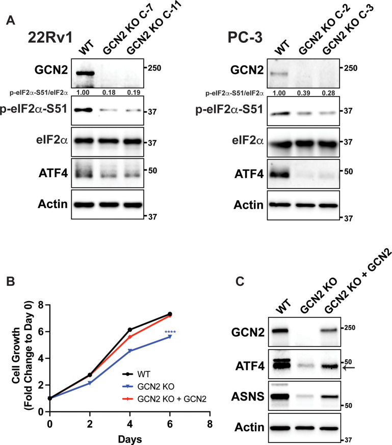 Figure 1—figure supplement 2.