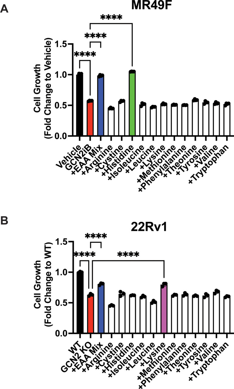 Figure 3—figure supplement 5.