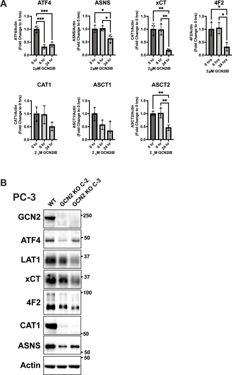 Figure 2—figure supplement 1.