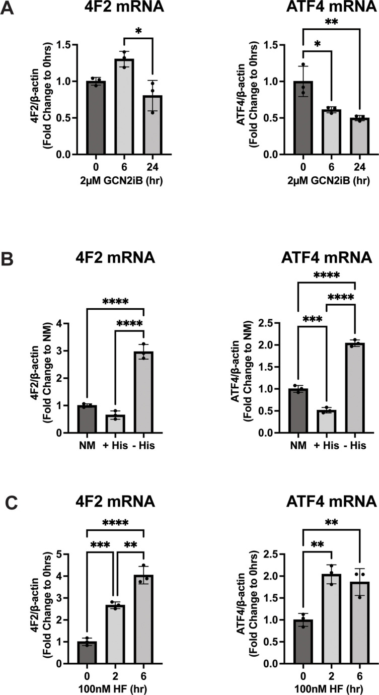 Figure 4—figure supplement 2.