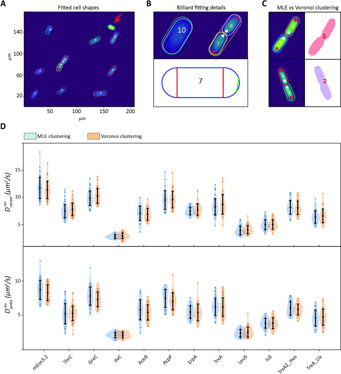 Fig 3