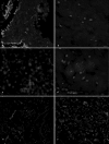 Figure 11.