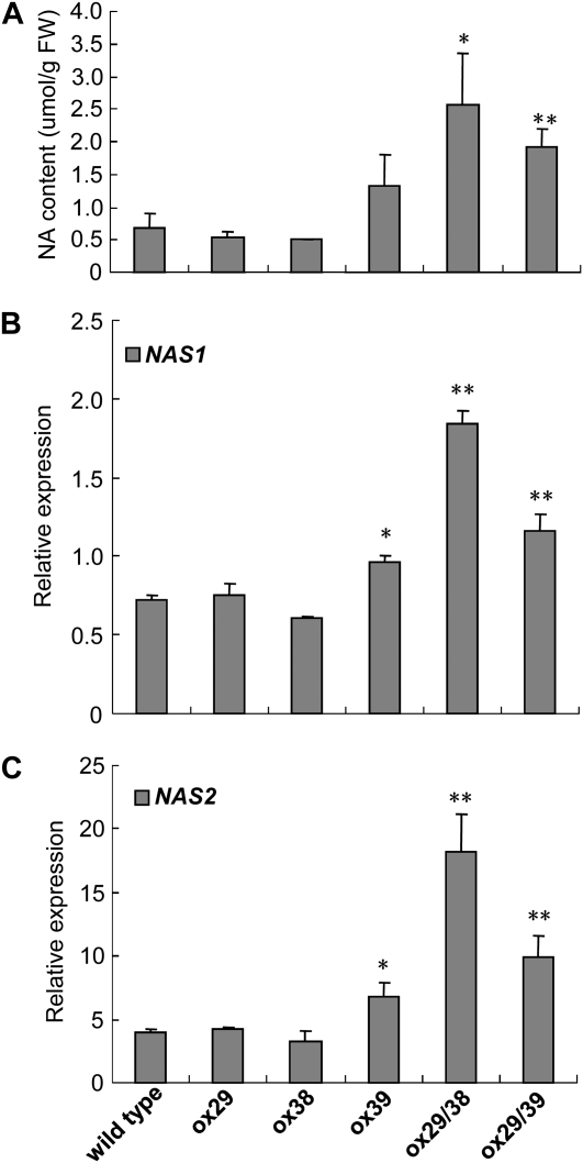 Figure 6.