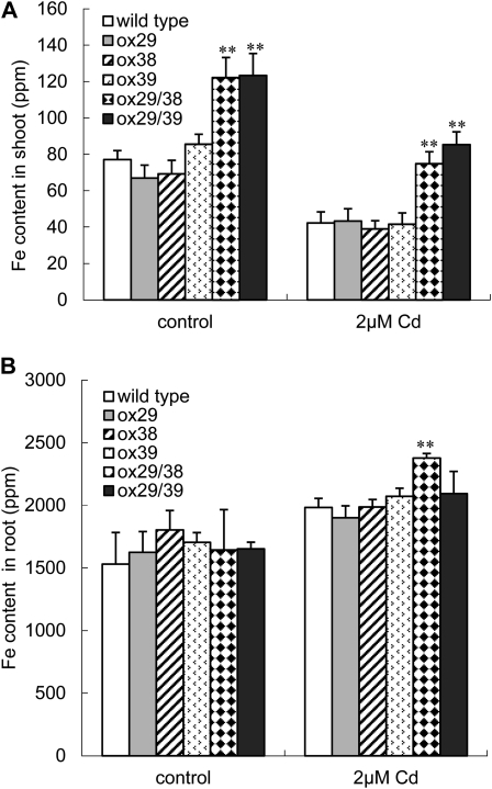 Figure 10.