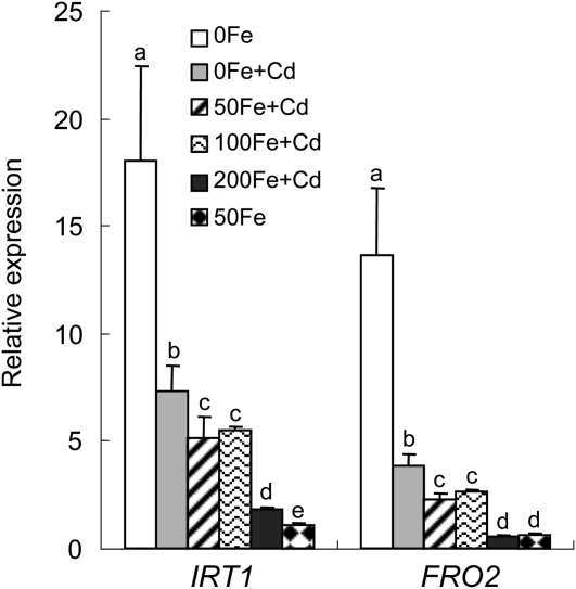 Figure 9.