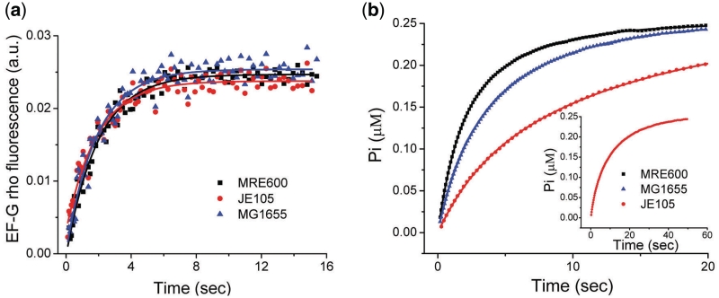 Figure 6.