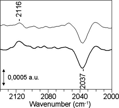 Fig. 5.