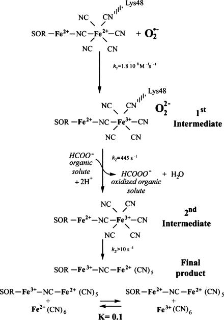 Scheme 1.