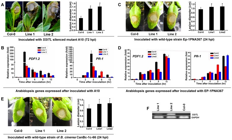 Figure 12