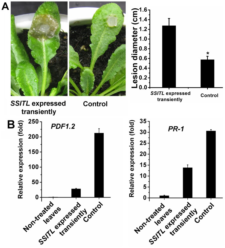 Figure 11