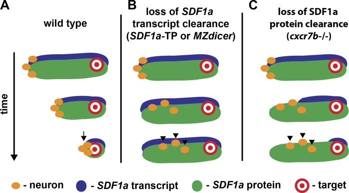 Figure 10.