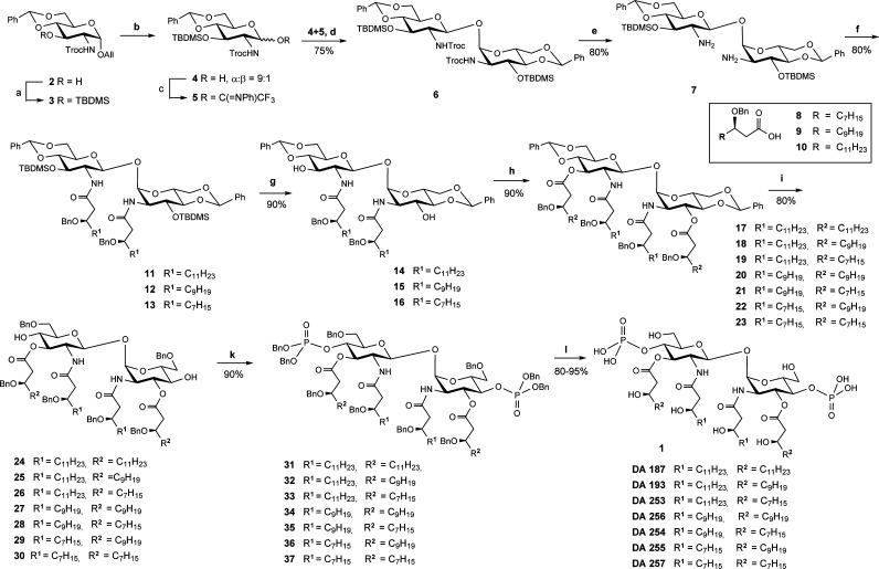 Scheme 1