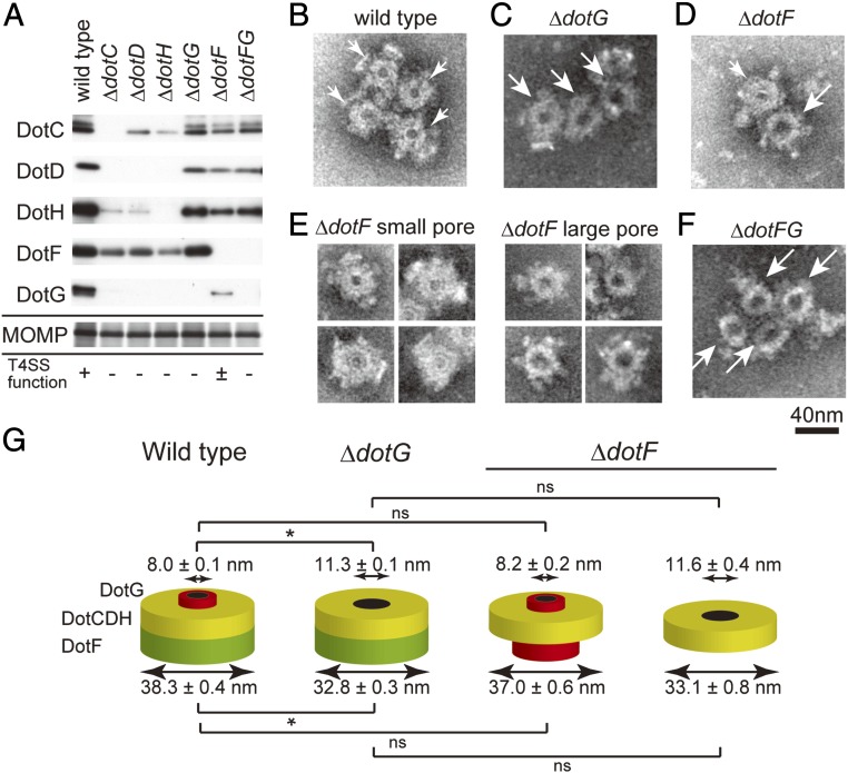 Fig. 4.