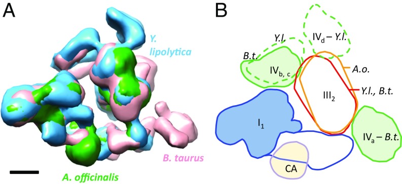 Fig. 5.