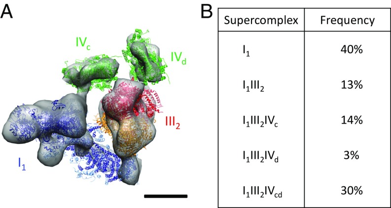 Fig. 3.